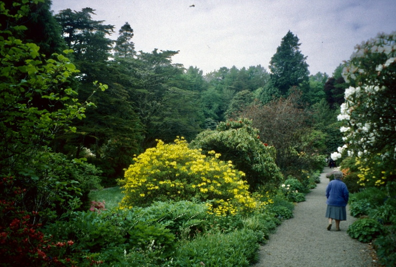 Western Isles - Arducine Gardens South of Oban 2 May 2001.jpg